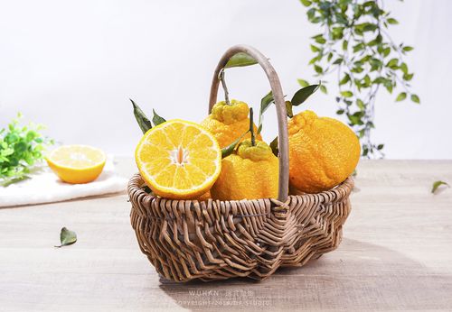 丑橘 丑八怪&迪芃摄影