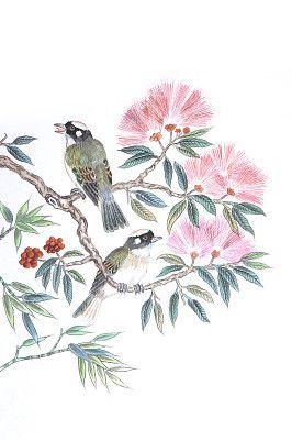 合欢花怎么画简笔画6