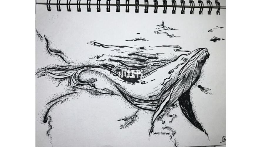 话说 鲸落 这词很美_简笔画_简笔画教程_文化_绘画