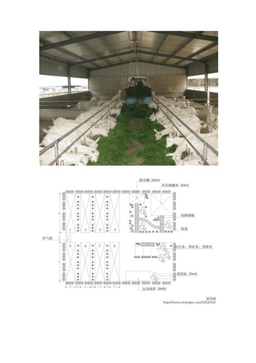 羊场布局设计规划图