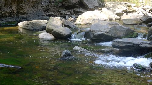 小溪流水潺潺,清澈见底.