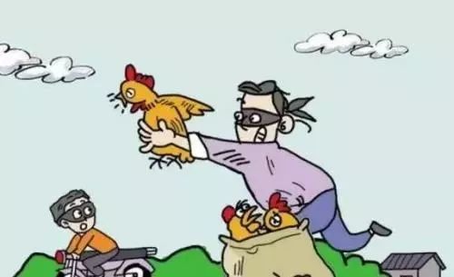 揭西一男子"偷鸡摸猪"被抓,两买家纷纷落网