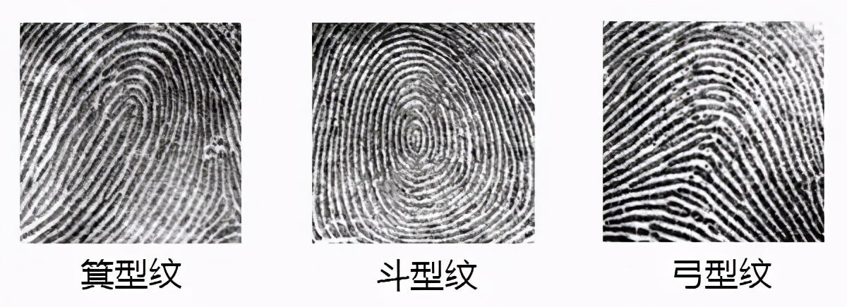 指纹解锁是什么原理?看完豁然开朗!