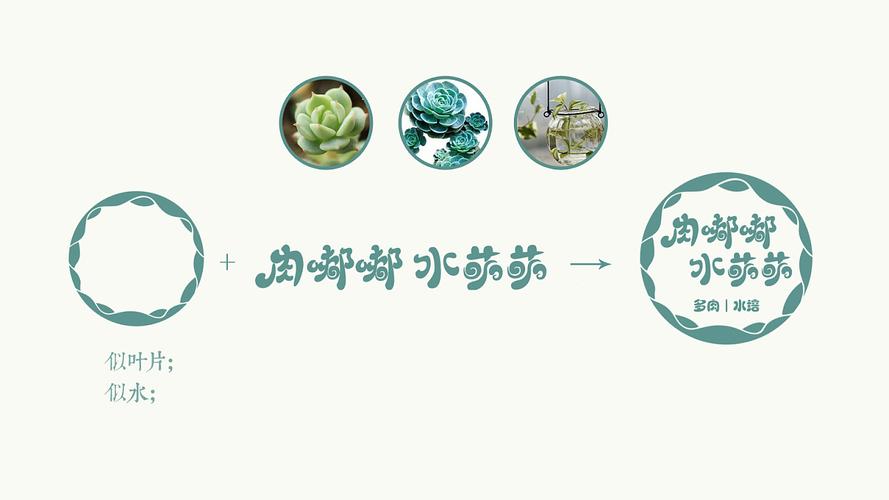 多肉标志设计|平面|logo|雅尚设计 - 原创作品 - 站酷 (zcool)