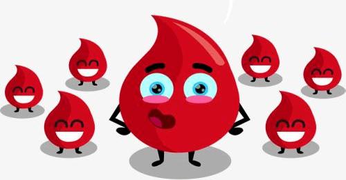 为什么献全血间隔期是6个月呢原因竟跟血液细胞寿命有关