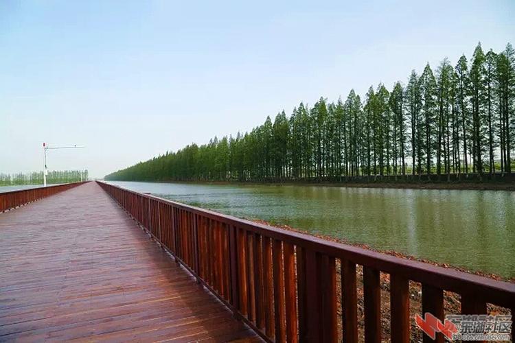 返湾湖国家湿地公园13.jpg