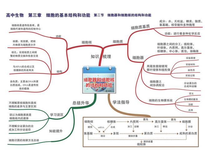 细胞核的功能和结构;学法指导:细胞器和细胞核的结构和功能图解;总结