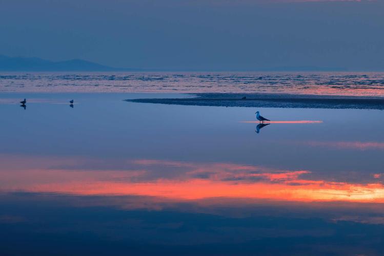 海镜