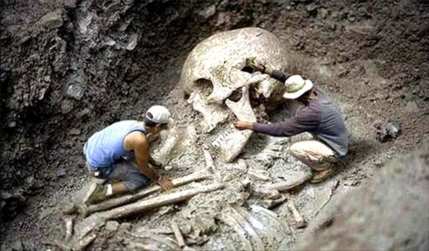 进化论承认史前文明吗?巨猿古生物化石,透露身高体重是多少?