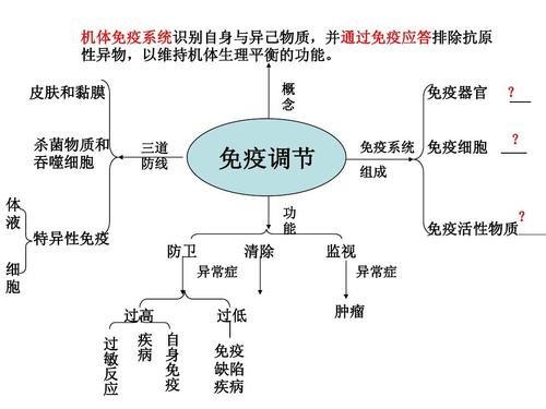 所有分类 高中教育 理化生 免疫调节思维导图2ppt  机体免疫系统识别