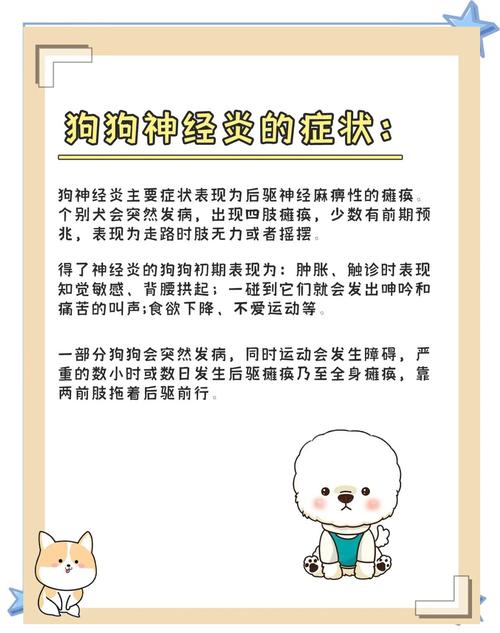 狗狗神经炎的病因与治疗方法详解