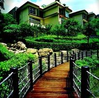 木栈道边上的别墅风光摄影