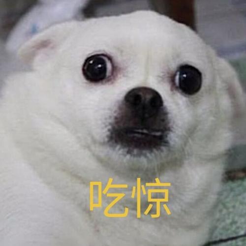 吃惊