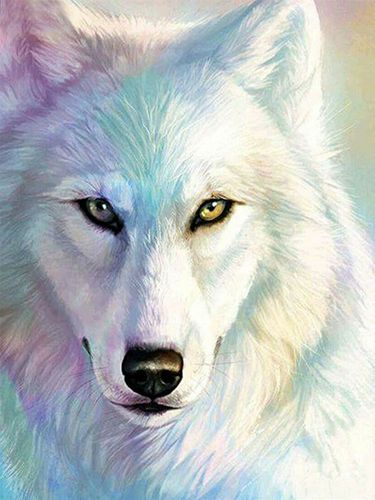 白色狼钻石画
