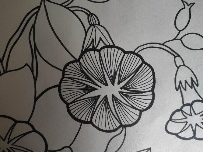 用细的签字笔围着花蕾从里面往花朵边缘画细细的弯弯的线条.