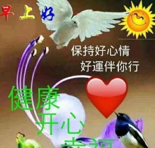 冬季早安正能量阳光语录句子,最新早上好表情图片祝福