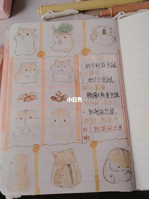 仓鼠手账_手帐_仓鼠_手账本_手账本排版_兴趣爱好_文具手账