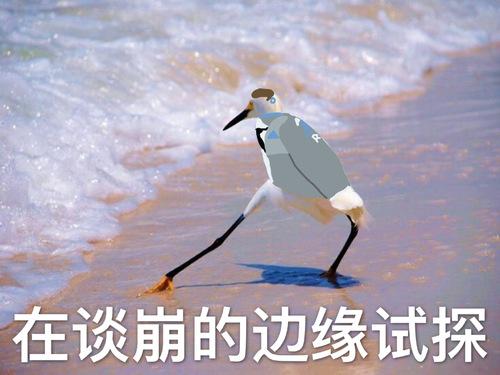 一个突如其来的试探表情包第二弹.