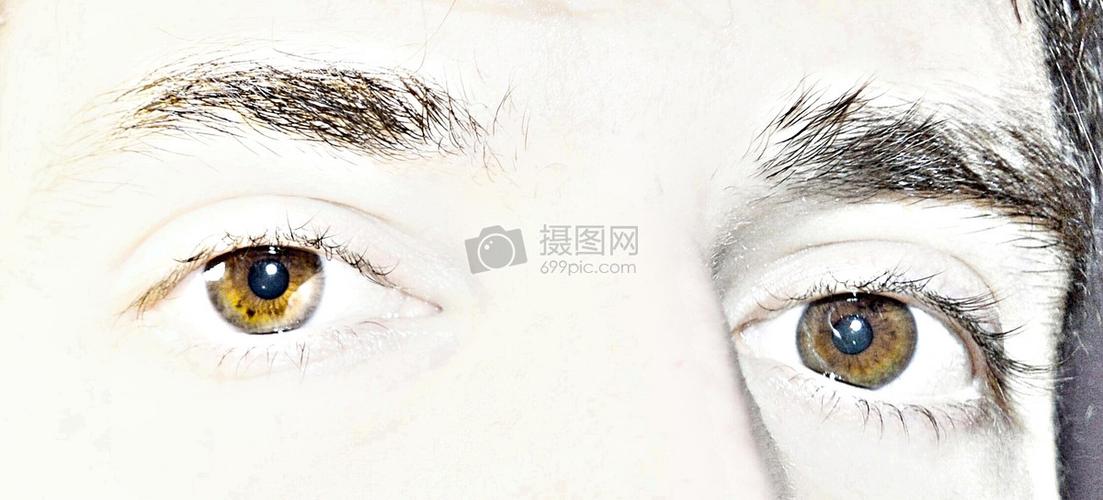 棕色瞳孔的眼睛