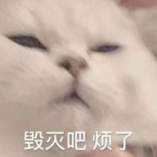 微信崩了##表情包##表情包无水印