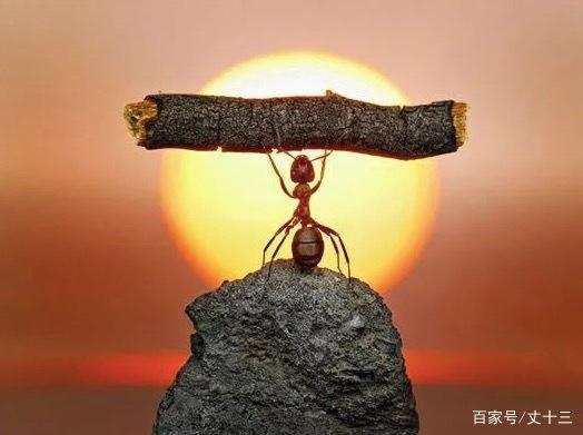 生如蝼蚁,当有鸿鹄之志;命如纸薄,应有不屈之心.