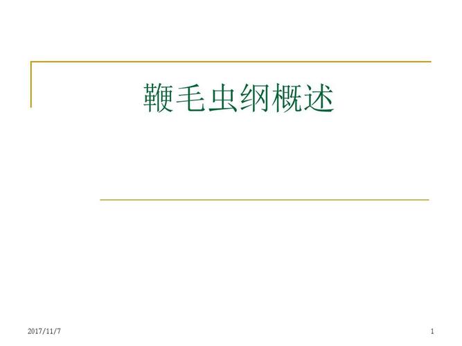 阴道毛滴虫(trichomonas vaginalis donne