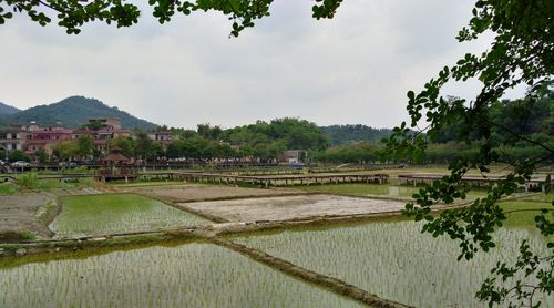 春游花都梯面红山村
