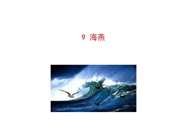 《海燕》ppt课件.ppt