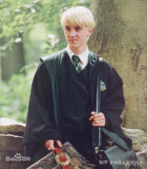 为什么中国有些哈迷普遍想要去斯莱特林?