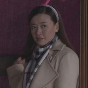 《铁血独立营》视频圈子-《铁血独立营》演员及剧情