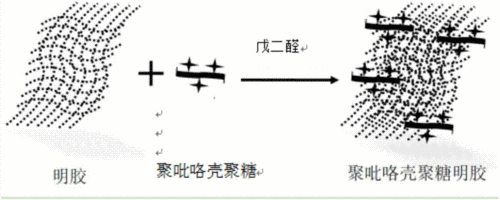 一种3d聚吡咯壳聚糖明胶复合电导材料及其制备方法与流程