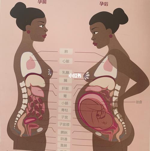 腹肌_孕妇_新龙花苑攻略_孕期健身_怀孕_分娩_孕产_母婴_孕产经验