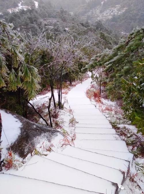近几天连州下雪 成为广东游客关注焦点 "走,到连州看雪去"成为口号 有