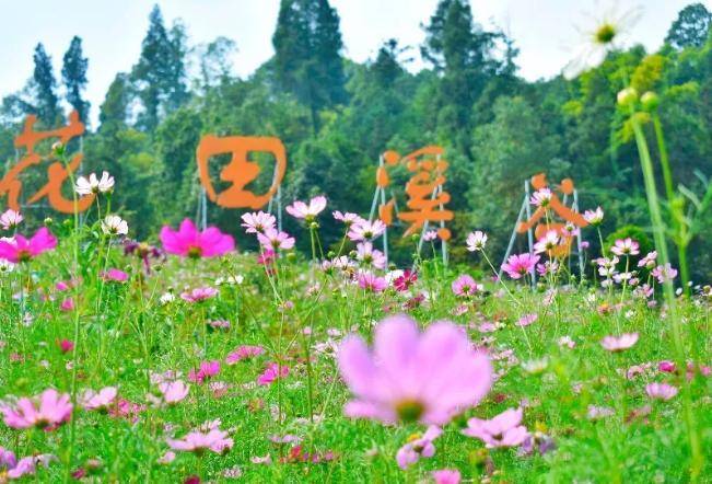 忠县花田溪谷美景