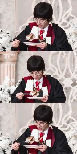 华晨宇‖哈利波特花