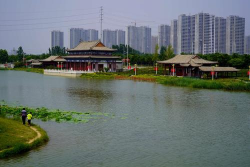 齐河大清河风景区