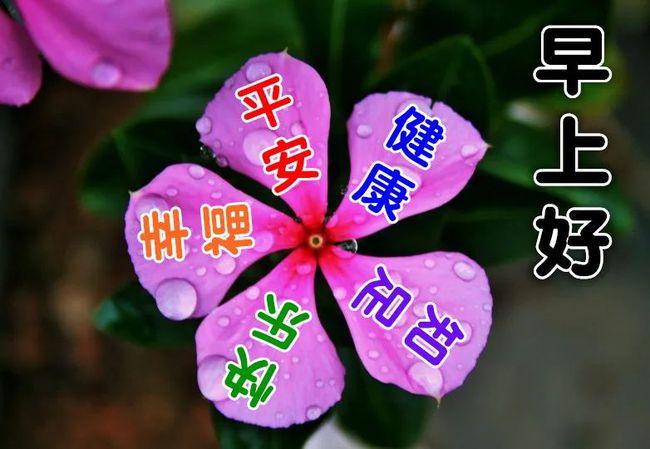 2021年9月14日星期二上午好动态表情图片大全问候语句子