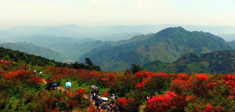 【微言美拍赞衢州】美呆了!绿春湖穿上了"白婚纱"