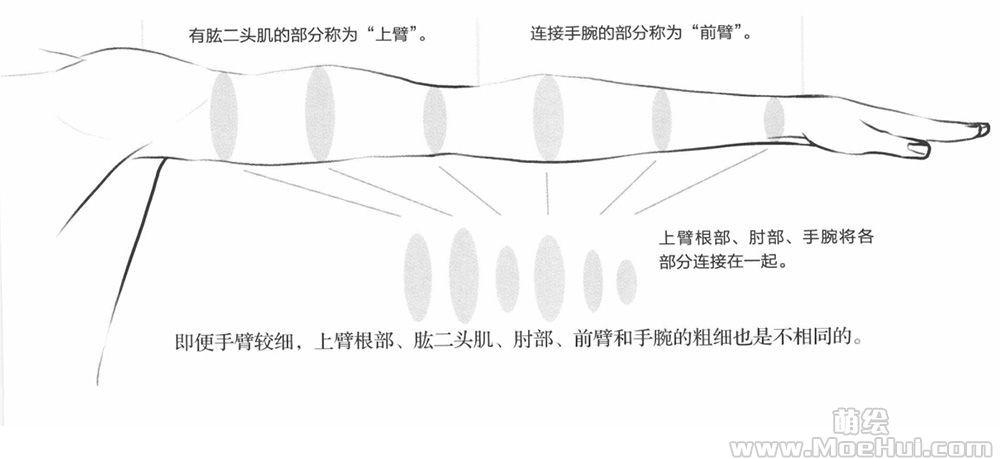 萌系美少年手臂画法