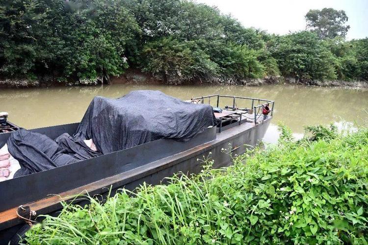 顺德3个月查获走私冻品958吨!来源不明冻肉有风险