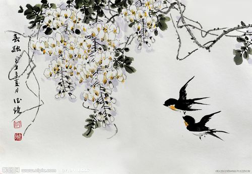 燕子绘画作品图片