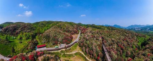 5大毕节自驾游景点攻略毕节周边自驾游好去处