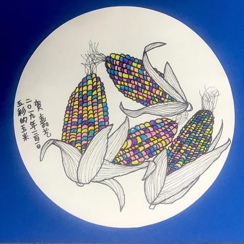 大师创意——【五彩玉米】