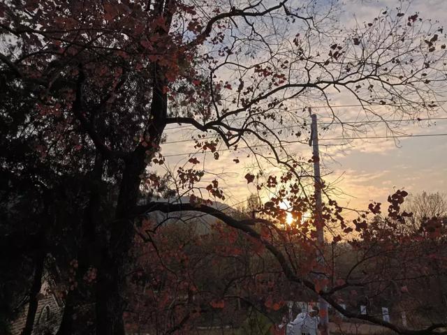 唐河马振扶镇:石头上的村庄,风景美如画