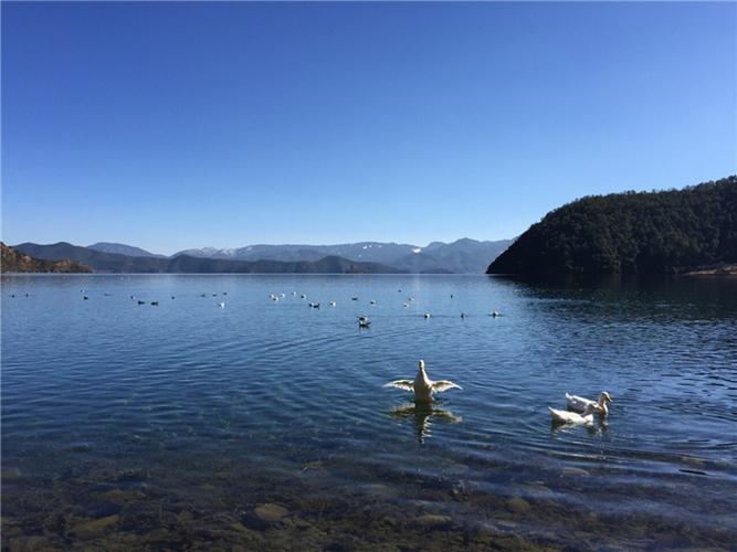 大理苍山洱海泸沽湖三日游多少钱