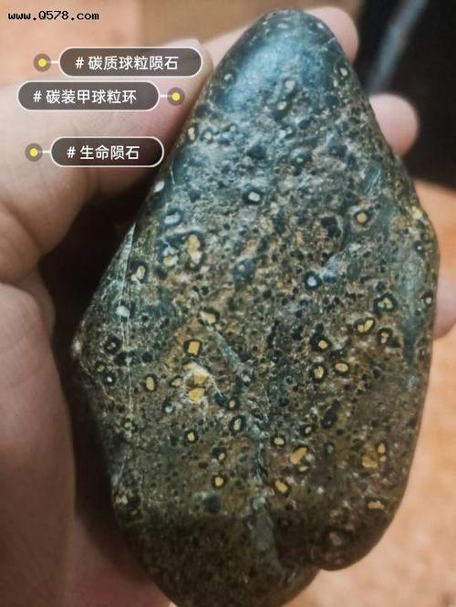 有机生命陨石分享～生命碳质球粒陨石揭开宇宙星际生命传播秘密