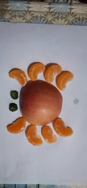 岳小四6班水果变变变