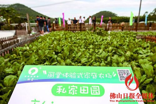 丽堂蔬菜基地内,竖起体验式家庭农场的标牌./佛山日报记者黎汉沿摄