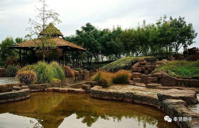 上海奉贤区旅游景点及攻略史上最全