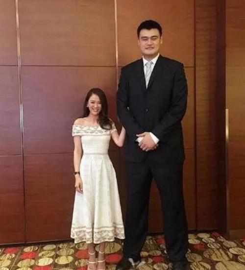 娱乐圈明星和姚明合照是什么样的一种体验?网友:范冰冰霸气!